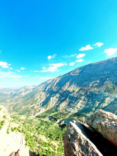 عکس گراب سفلی