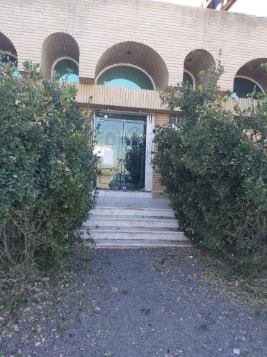 عکس مزرعه و کارخانه روغن زیتون فدک بلند نظر