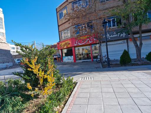 عکس ساندویچ مهدی