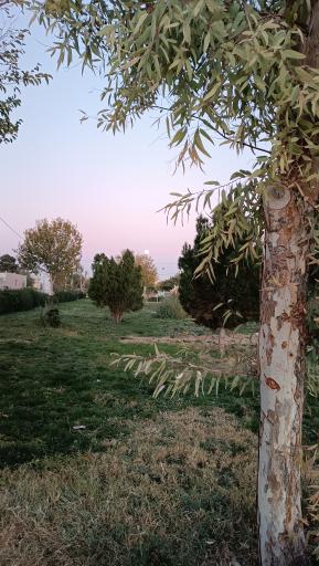 عکس بوستان ولیعصر