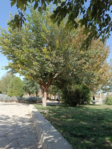 عکس پارک رضوان