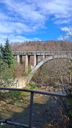 عکس پل شیرگاه