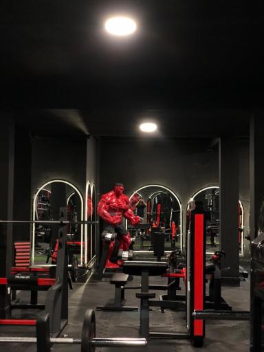 عکس باشگاه احسان 