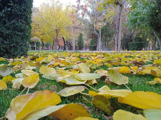 عکس بوستان شهر