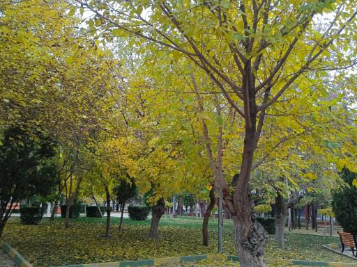 عکس بوستان شهر