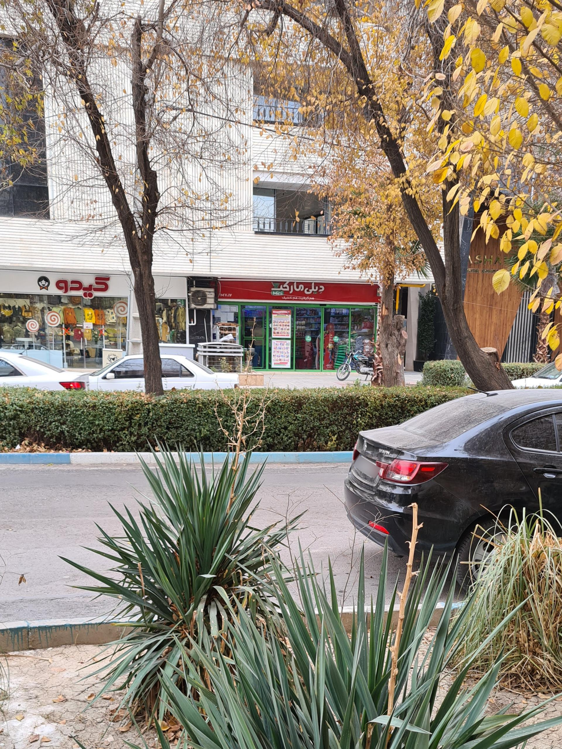 عکس فروشگاه زنجیره ای دیلی مارکت شعبه خواجه عمید