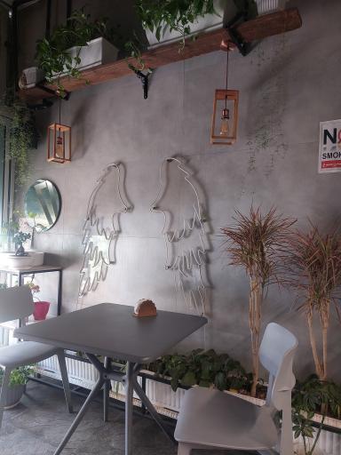 عکس قهوه هارپاگ