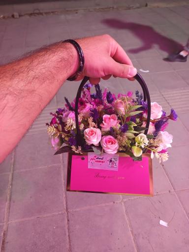 عکس تهران بونسای 