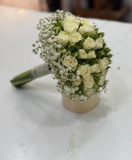 عکس تهران بونسای 