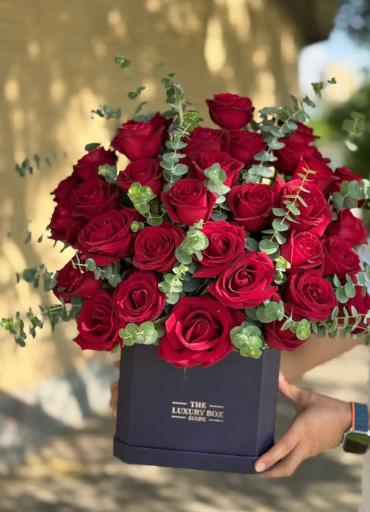 عکس تهران بونسای 