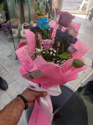 عکس تهران بونسای 