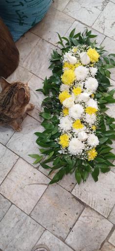 عکس تهران بونسای 
