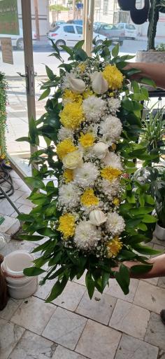 عکس تهران بونسای 