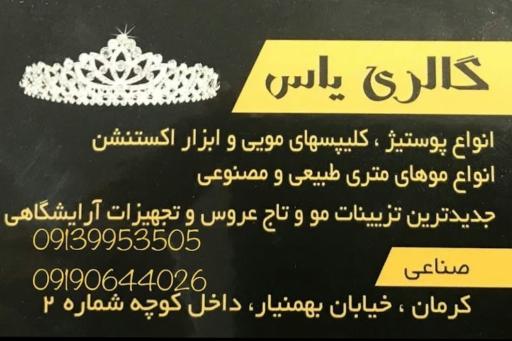 عکس گالری تزئینات موی یاس