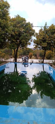 عکس آرامگاه پروفسور علیرضا شاپور شهبازی