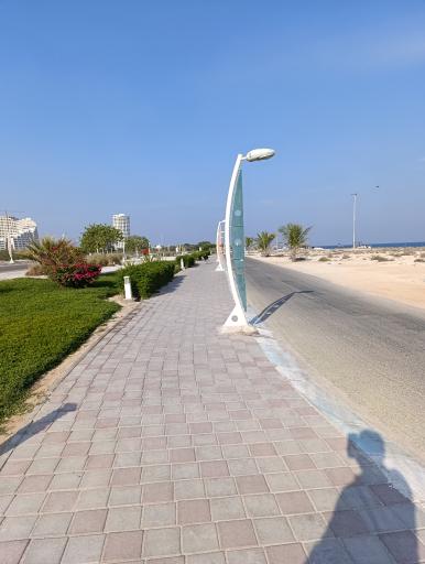 پارک نیلوفر