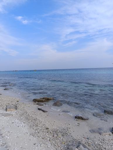 عکس پارک نیلوفر