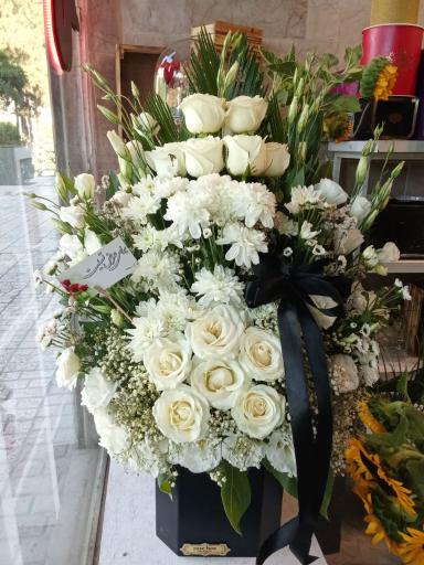 عکس گل ترنم