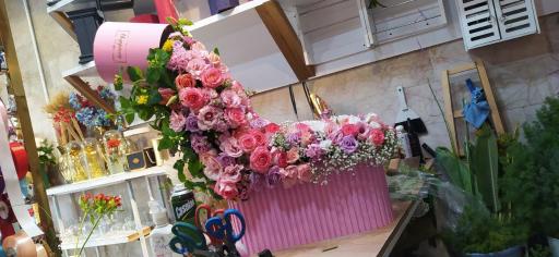 عکس گل ترنم