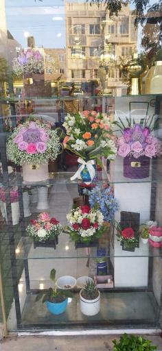 عکس گل ترنم