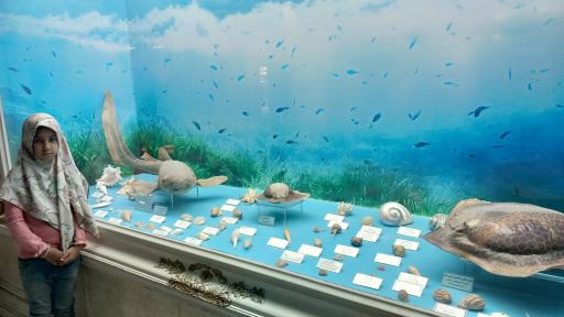 عکس موزه قصر خورشید 