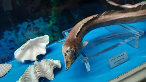 عکس موزه قصر خورشید 