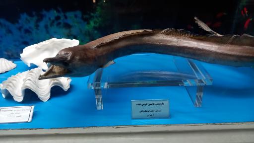 عکس موزه قصر خورشید 