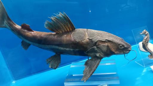 عکس موزه قصر خورشید 