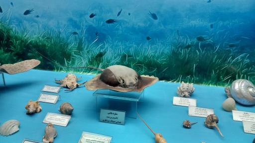 عکس موزه قصر خورشید 