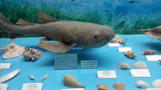 عکس موزه قصر خورشید 