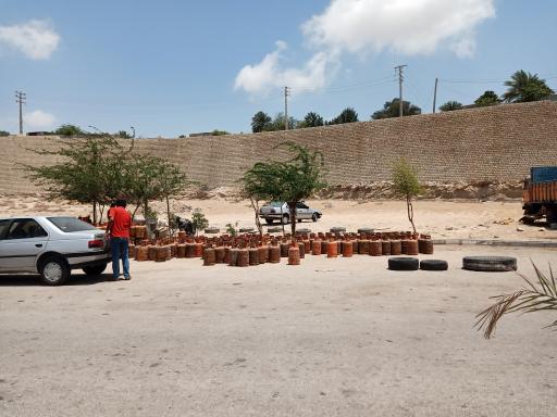 پیک نیک پر کنی و کپسول فروشی