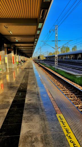 عکس محمد شهر