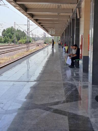 عکس محمد شهر