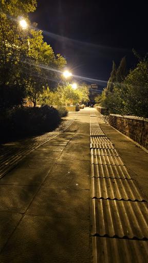 عکس بوستان راهب