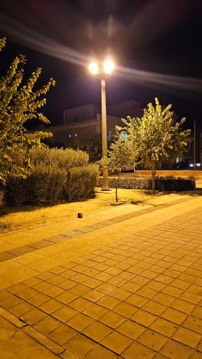 عکس بوستان راهب