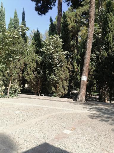 عکس انجمن خوشنویسان ایران
