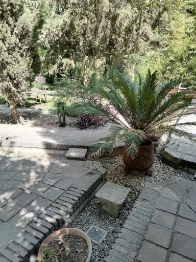 عکس انجمن خوشنویسان ایران