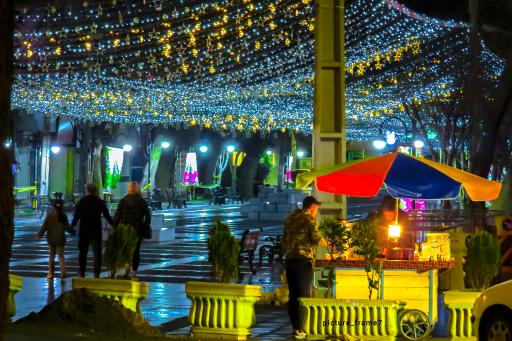 عکس باغ ملی