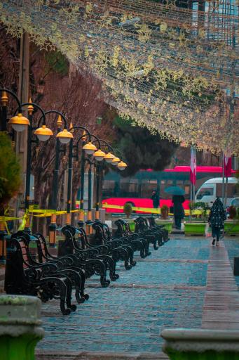 عکس باغ ملی