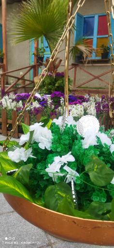 عکس میدان انقلاب (ایالت)