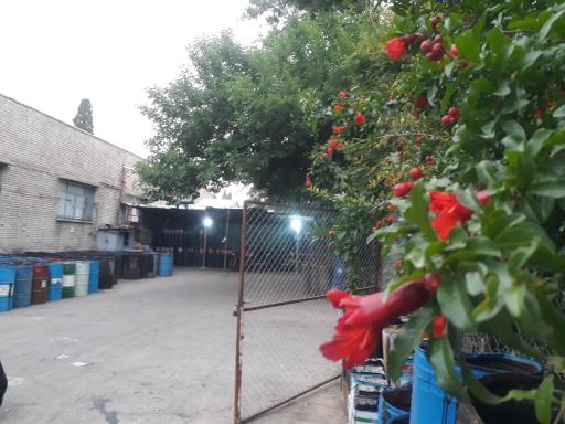 عکس جایگاه ال پی جی حقی