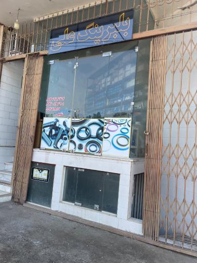 عکس فروشگاه بلبرینگ علی