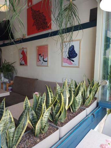 عکس کافه رستوران ال