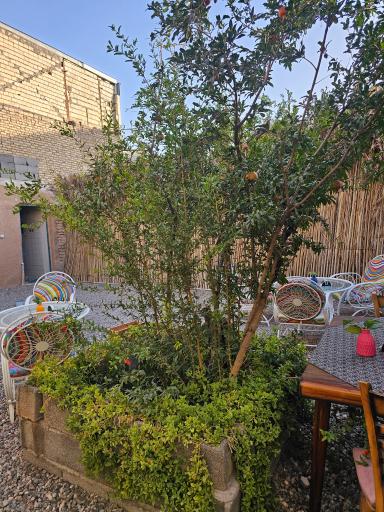 عکس کافه تاسیان