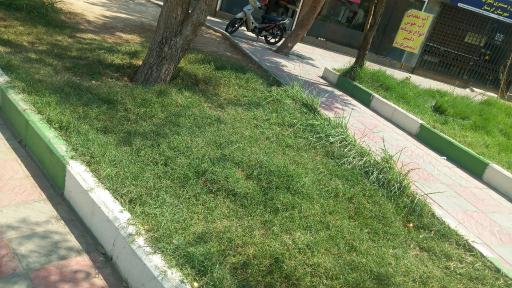 عکس پارک خانوادگی انقلاب