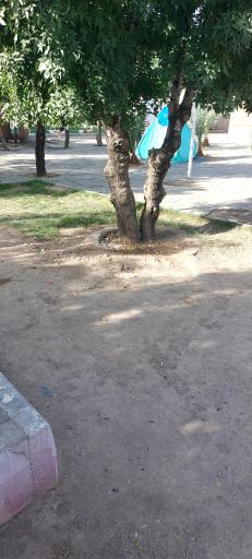 عکس پارک خانوادگی انقلاب
