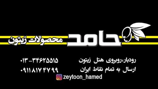 عکس زیتون حامد