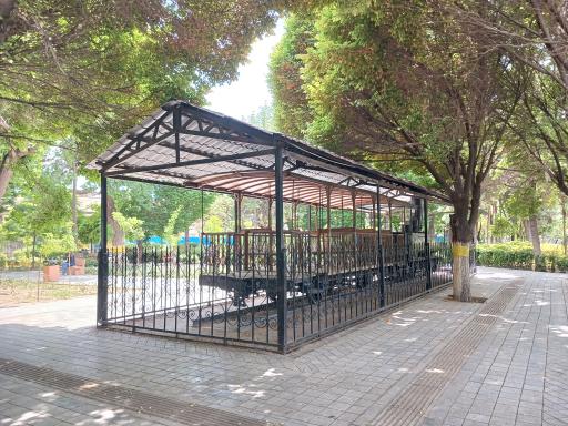 عکس المان ماشین دودی