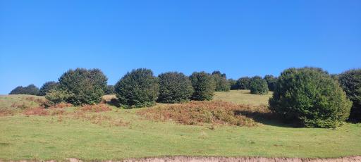 عکس سد سوها