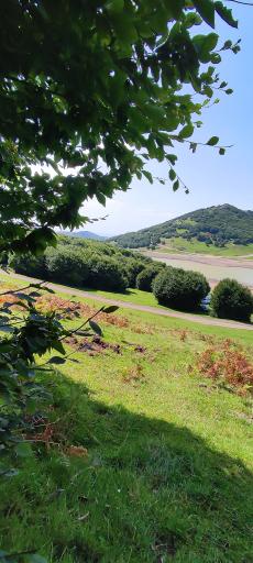 عکس سد سوها